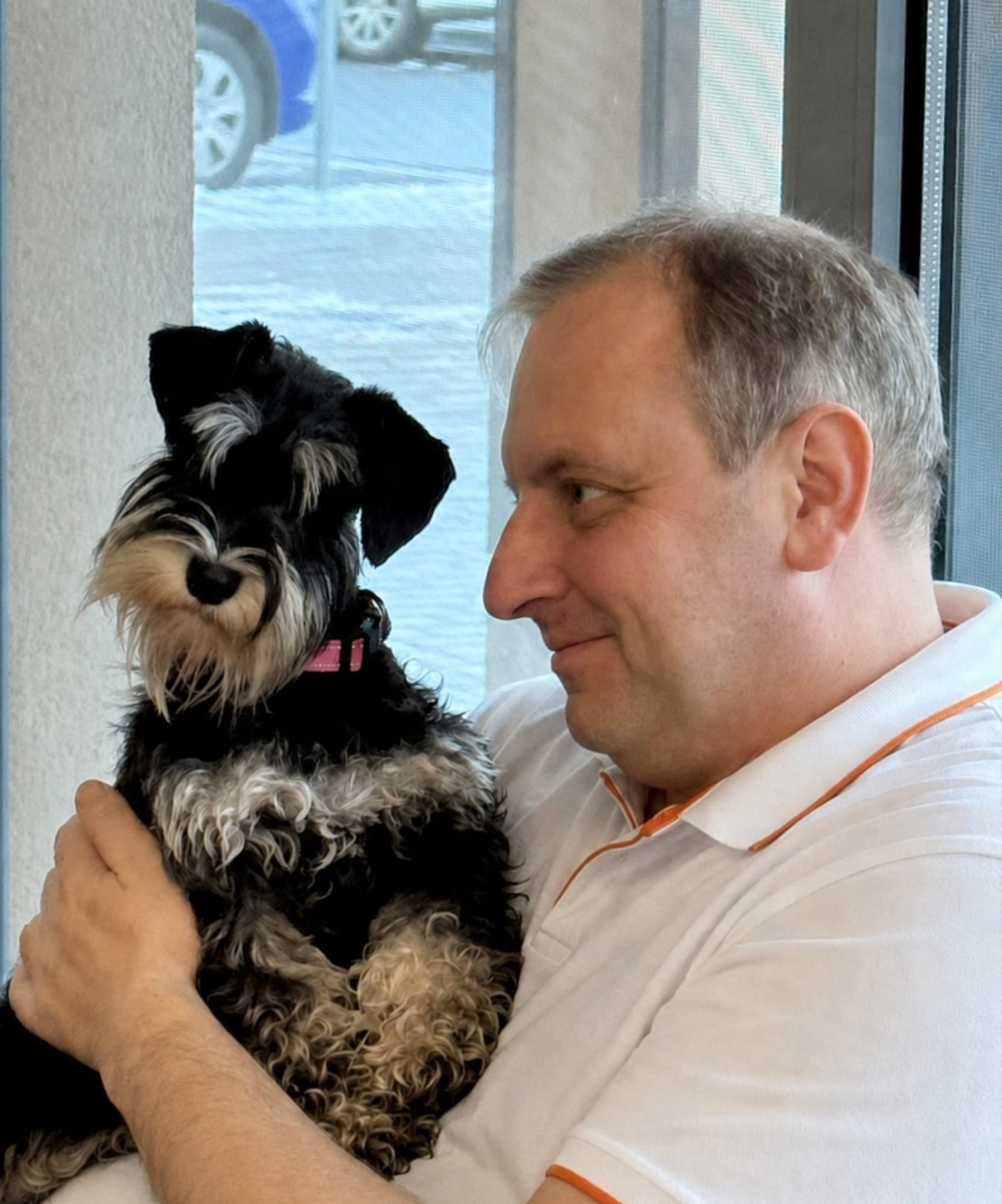A PETIQ team member holding a miniature schnauzer
